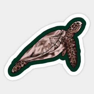 Tammy the Turtle Sticker